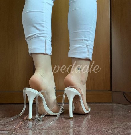 Pedaale free star gallery