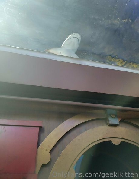 ebony foot fetish onlyfans beautiful porn gallery