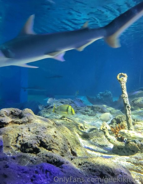 blonde muscle onlyfans free img