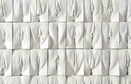 andratwerkfree sex pornstar pics