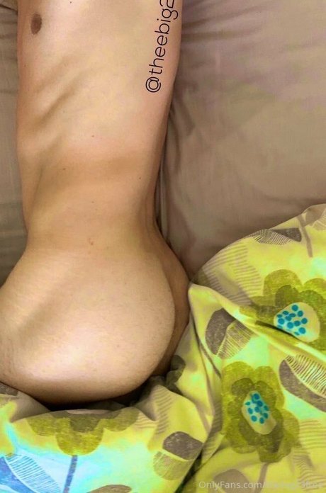 theerealmrbig pornstar free photo