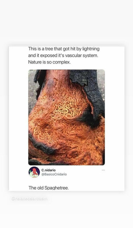 mark magnus420 pornstar adult image