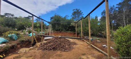 leaandbear nudes pornstar galleries