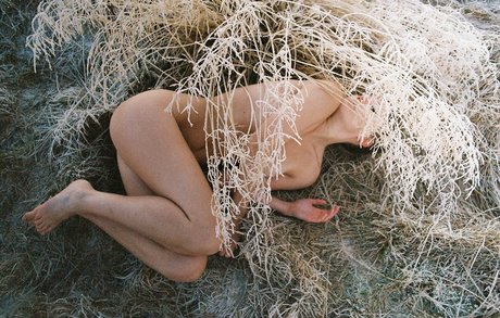 jerk off onlyfans free xxx archive