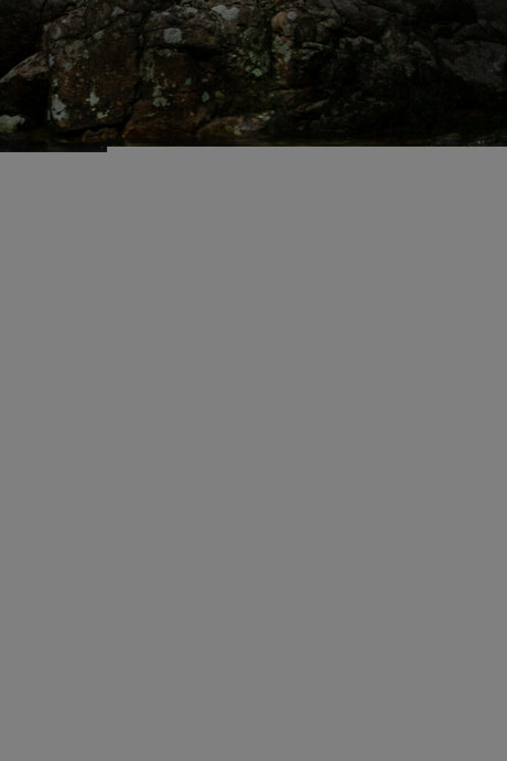 cum swallow onlyfans art naked img