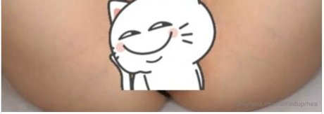 Rheaakane star high quality gallery