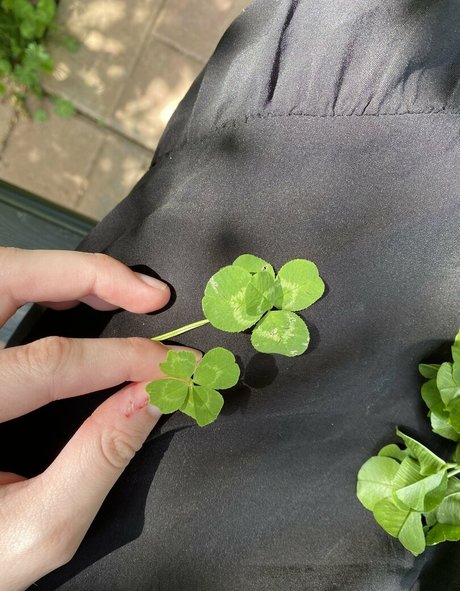 female muscle onlyfans sex images