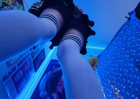 faexbear star perfect photo