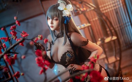 Takomayuyi erotic pornstar galleries