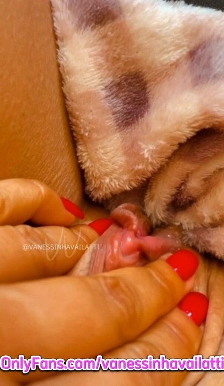 Vanessinha Vailatti model sexy img