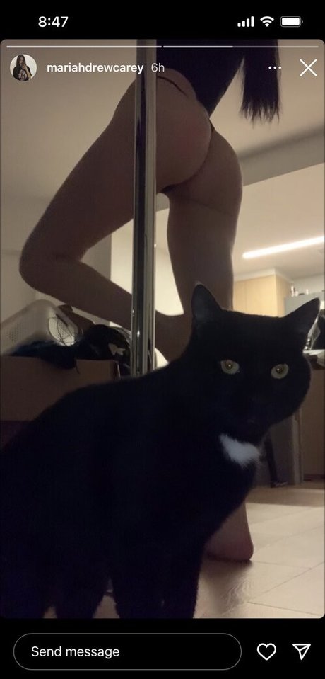 boobsandbeef hd pornstar photos