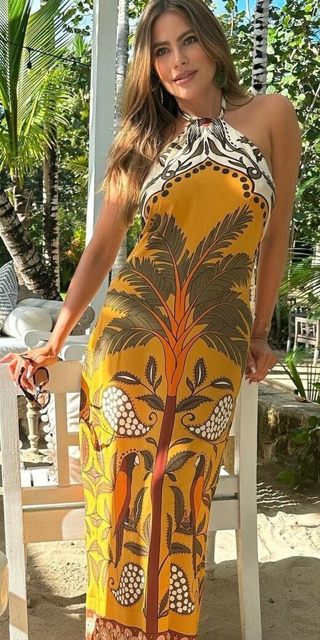 Sofia Vergara star top gallery