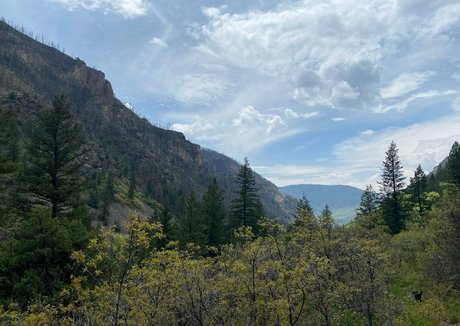 its kt pornstar nice pictures