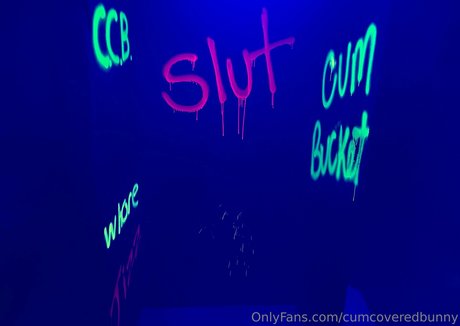 bunnycovered star porn img