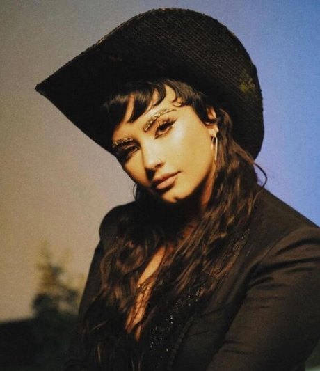 Demi Lovato pornstar sexy gallery