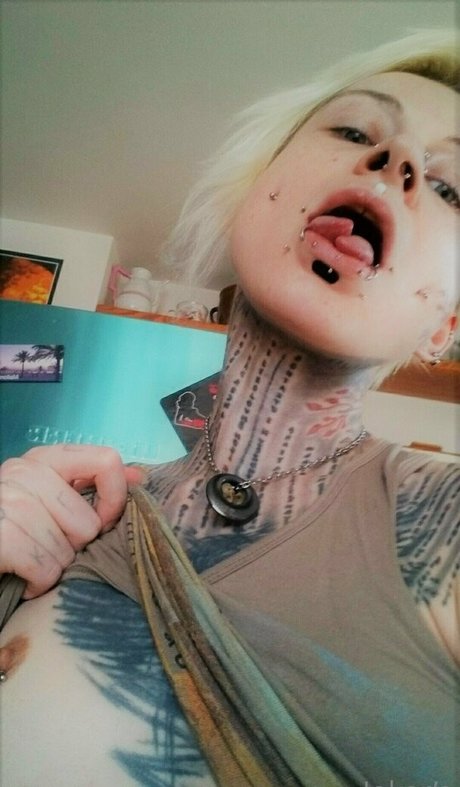 jokers free pornstar nice images