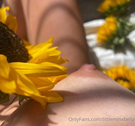 littleminxbella top model pic