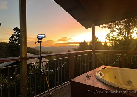 whiterabbitsx nice pornstar images