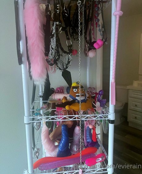 evierain model art archive