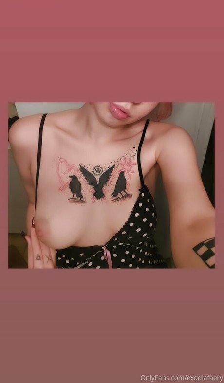exodiafaery nudes star pics