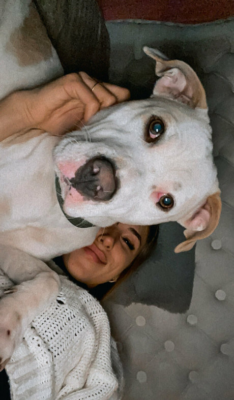 molly4 20 nice pornstar image