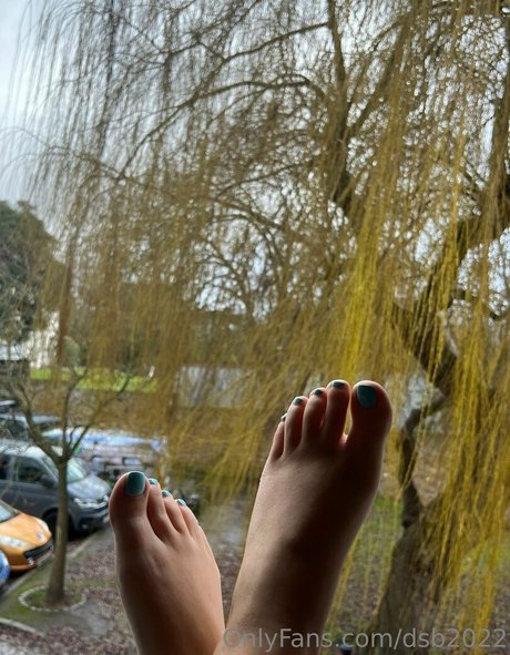 dsb2022 exclusive model img