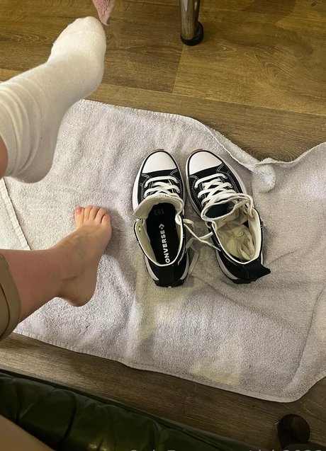 dsb2022 star art gallery