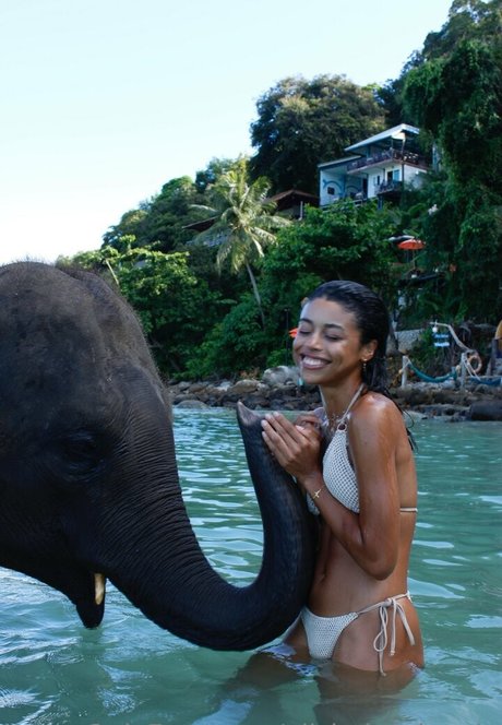 alishabright vip model pornographic pic