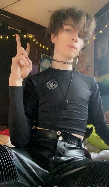 boixd star nice image