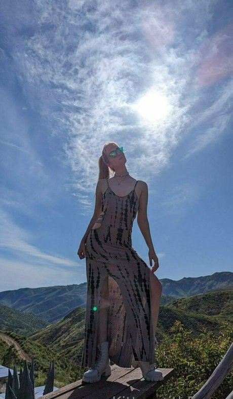 kittenwithfangsfree star beautiful pictures