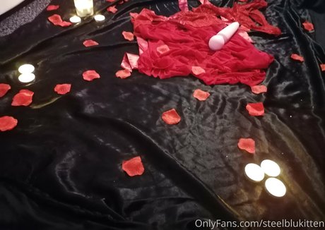 palepaizuriprincess Profile pic