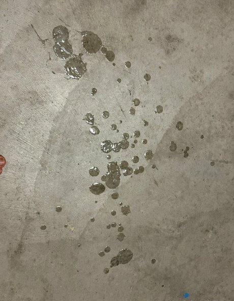 degeneratewelder0321 pornstar erotic archive