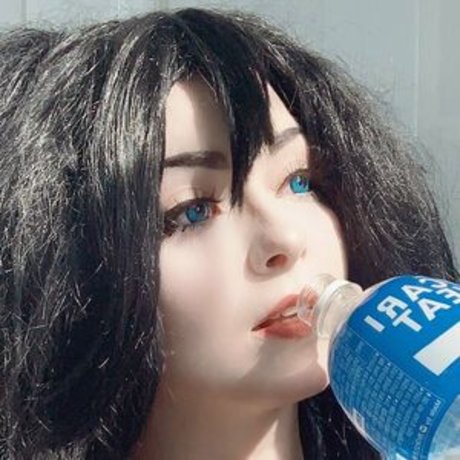 Stellalasaurus adult model pic