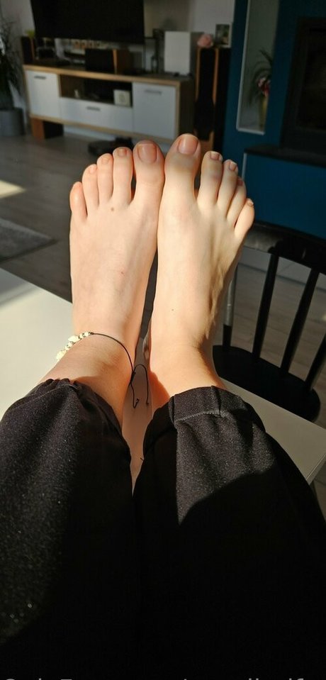 cavalierifeetfree pornstar sexy pics