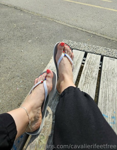 cavalierifeetfree model nudes gallery