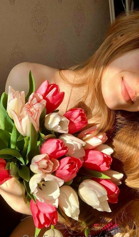 kasiawood high quality star gallery