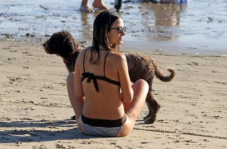 Jordana Brewster hd pornstar pictures