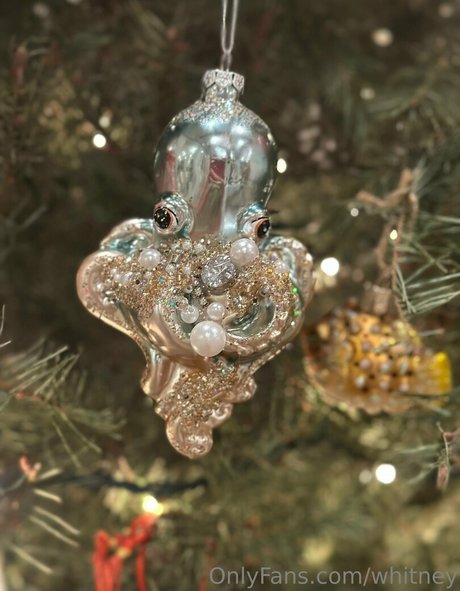 whitney pornographic actress photo