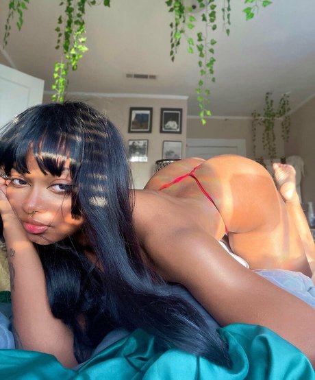 Dollyrama star nude img