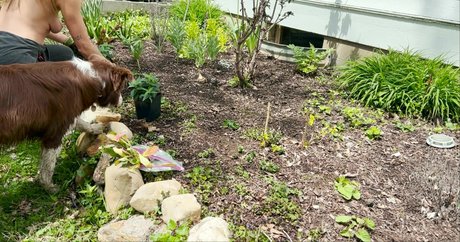 The Naked Gardener star best image