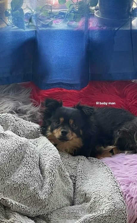 asian wife onlyfans free nude galleries