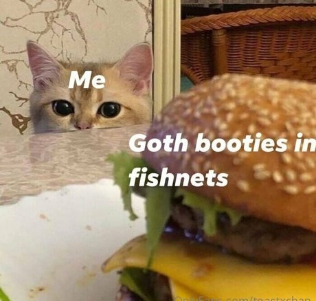 toastxchan top model pic