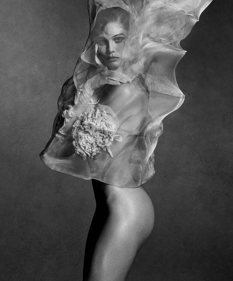 Cambrie Schroder pornstar free archive