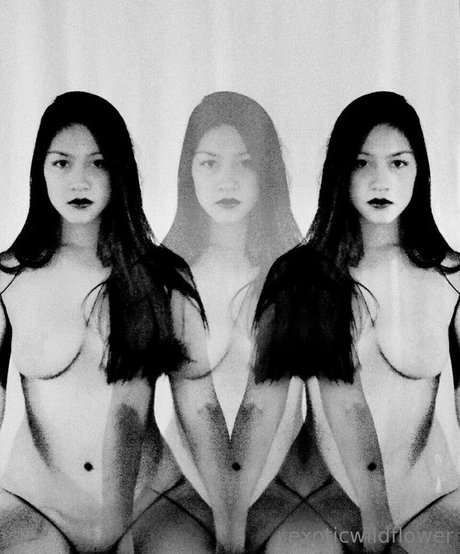 Exoticwildflower high quality pornstar pictures