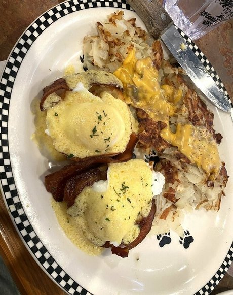 brown eyes kitty onlyfans hot nude gallery