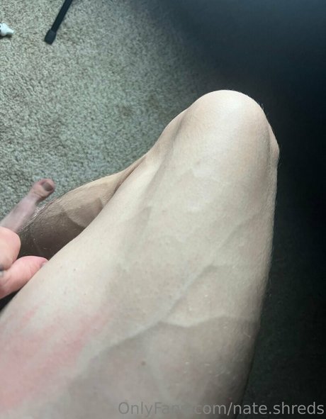 nate shreds pretty pornstar pictures