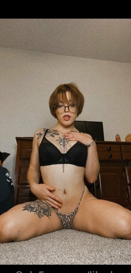 lilvelma best star galleries