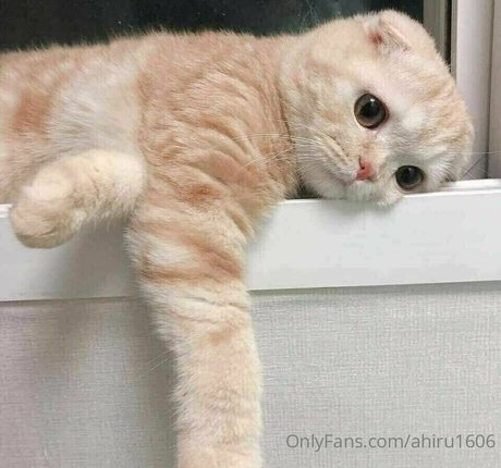 ahiru1606 free star gallery