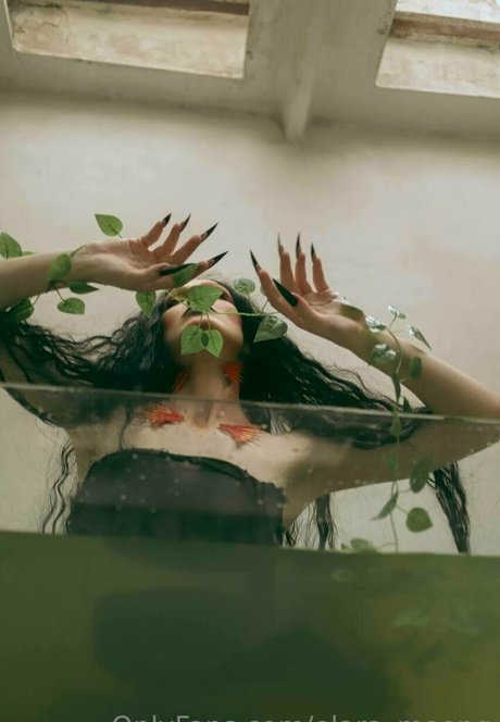 elara moonq model nice archive