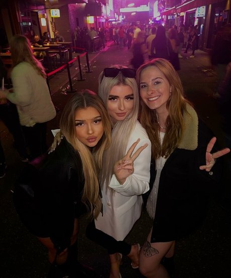 tizimaus model art galleries